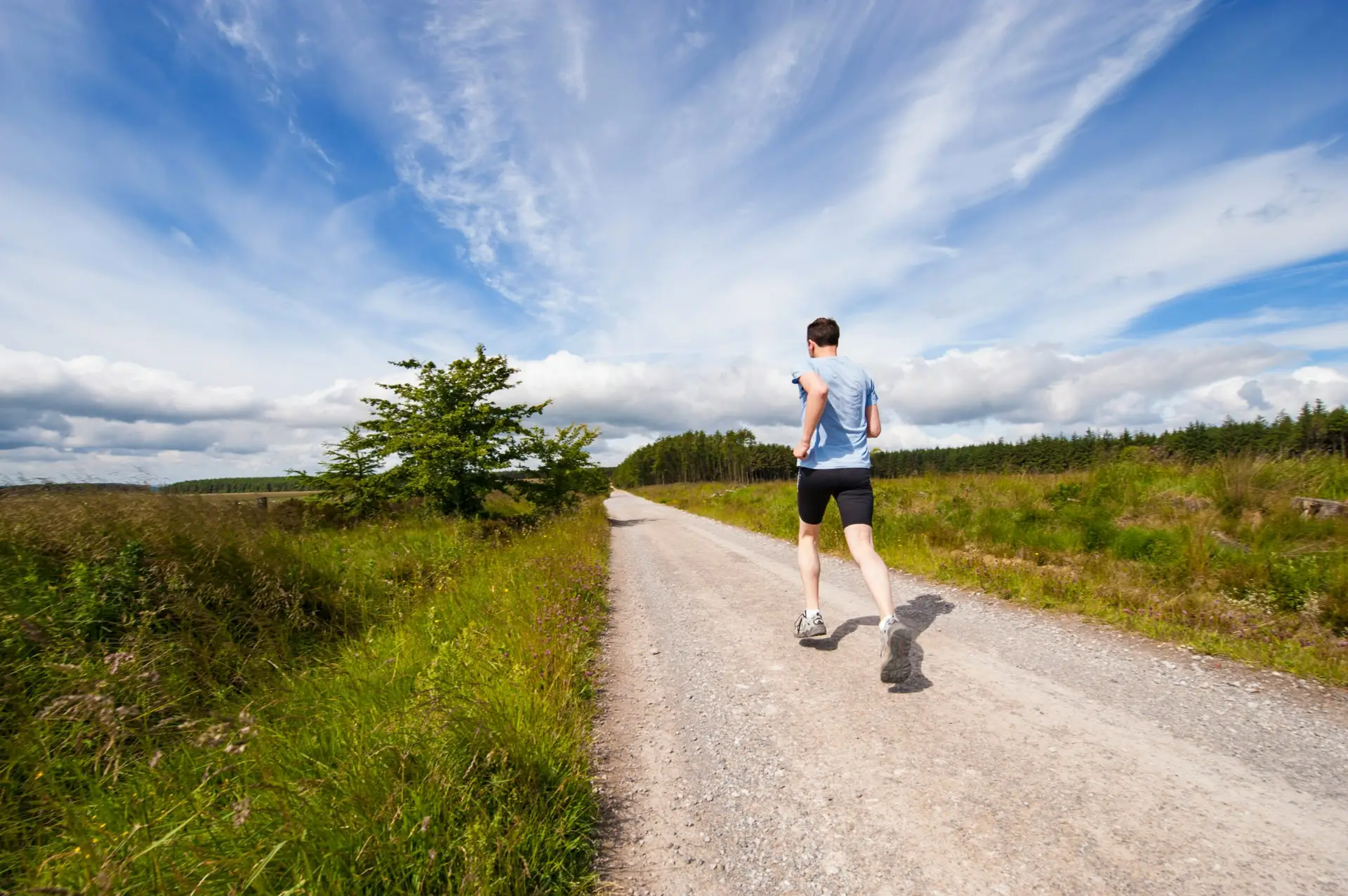 Consultation Form - Treetop Health 2